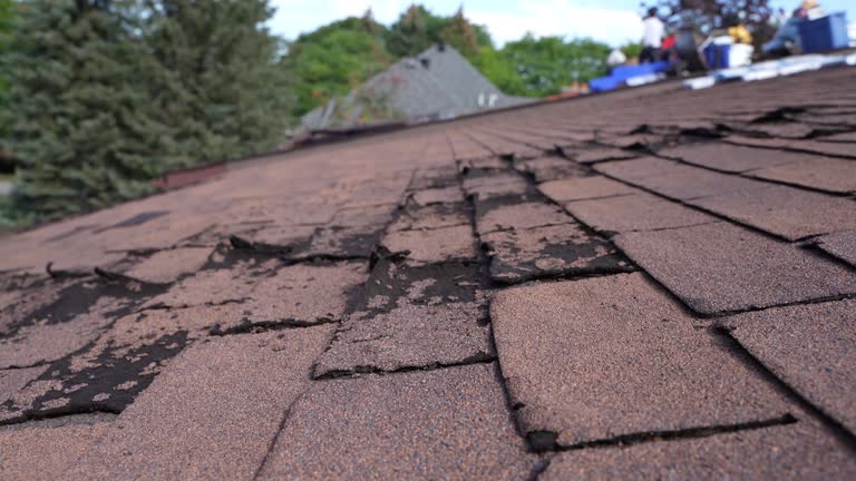Best Emergency Roof Repair Services  in Monroeville, OH