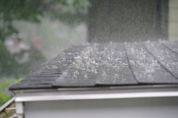 Best Roof Leak Repair  in Monroeville, OH