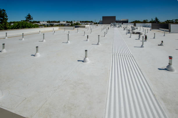 Best Roof Maintenance and Cleaning  in Monroeville, OH